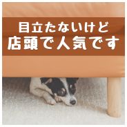 目立たないけど店頭で人気です